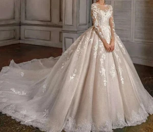 Champagne Wedding Dresses Applique Lace Long Sleeves Ball Bridal Gowns Custom - Picture 1 of 8