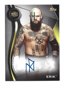 The War Raiders Erik AUTÓGRAFO 2019 Topps WWE NXT #A-E AUTO lucha libre AEW TNA - Imagen 1 de 2