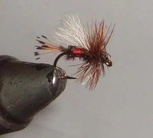 Lote de 6 moscas de pesca con mosca Royal Coachman Trude atadas a mano elección de tamaño de gancho - Imagen 1 de 1