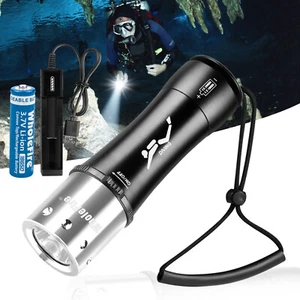 Scuba Diving Flashlight Dive Torch Light IPX8 Waterproof LED Underwater 60M - Picture 1 of 12