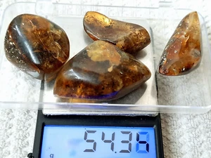 Baltischer Bernstein polierter Stein Natur Insekt innen Anhänger 54g Halskette - Bild 1 von 12