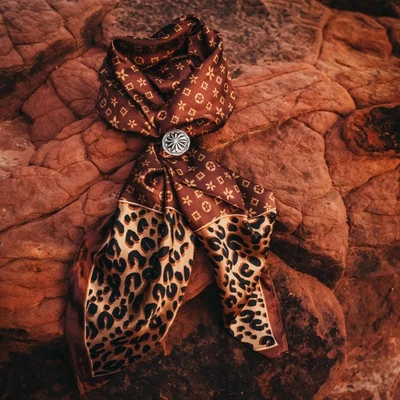 Bufanda de trapo salvaje bufandas de vaquero buckaroo bandana vaquera marrón guepardo Foto 1 de 2