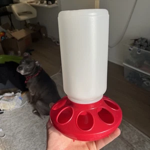 Little Family Members Baby Chick Feeder 1-Quart Capacity For All Small Poultry - Picture 1 of 1