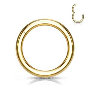 G23 Titanium Hinged Seamless Segment Ring Hoop Nose Ring Earring Labret Septum - Picture 1 of 11