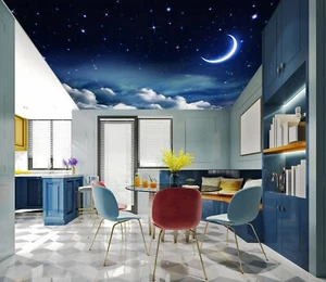 3D Blue Moonlight G4129 Ceiling WallPaper Murals Wall Print Decal Deco Erin 2023 - Picture 1 of 5