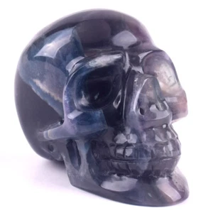 5.1'' Natural Fluorite Hand Carved Crystal Skull,Realistic,Crystal Healing - Picture 1 of 8