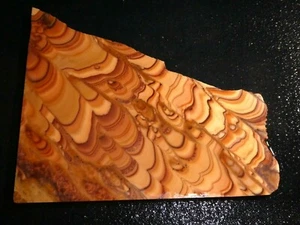 Wave Dolomite    6 3/8" x   5 1/4" --rough for cabbing-display-hand selected - Picture 1 of 3