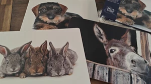 2 x Platzset Mars & More Esel Dackel Kaninchen 30 x 40 cm - Bild 1 von 7