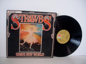 STRAWBS Grave New World Original UK LP +Booklet 1972 (A&M AMLH 68078) Prog - Bild 1 von 7