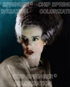 ELSA LANCHESTER BRIDE OF FRANKENSTEIN (#4) MONSTER COLOR PHOTO BY CHIP SPRINGER - Picture 1 of 1