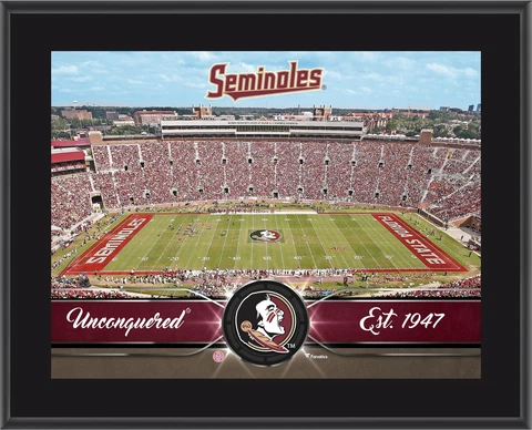 Seminoles 10" x 13" Team Stadium Plaque - Fanatics Authentic Cover