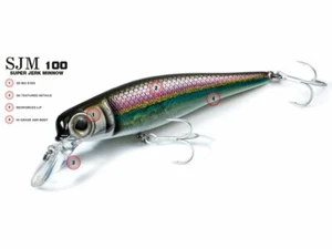 Molix SJM 100 Super Jerk Minnow 10 cm 17 g cebo suspensión Wobbler NUEVO COLORES - Imagen 1 de 12