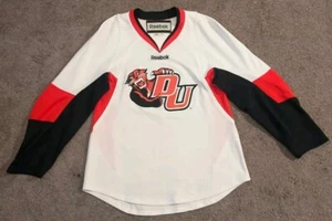 Rare Reebok Davenport University Panthers #17 Hockey Jersey Men's Small - Picture 1 of 6