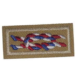 Boy Scouts of America Explorer Silver Award Nudo BSA - Imagen 1 de 4