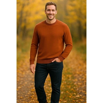 Smartwool Sparwood Sweater Mens XXL Brown Merino Wool Crew Neck - Image 1 of 4