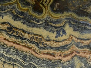 SCHALENBLENDA de Alemania * MUY BONITO EJEMPLAR * 8,0 cm - Imagen 1 de 6