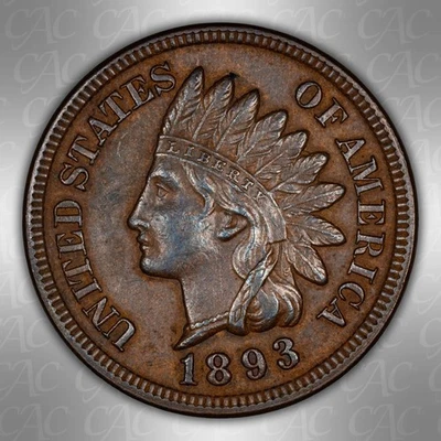 1893 Indian Cent CACG XF-45 CAC - Image 1 of 4