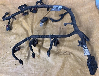 Dodge Caravan 2011 3,6 inyección de combustible arnés de cableado 736030209 OEM envío gratuito B2 Foto 1 de 4