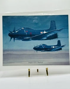 Vintage NOS Douglas A2D Print Hard Card Stock - “Skyshark” - 12.5x9.5 Image - Picture 1 of 1