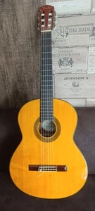 Fender CG-11E NAT Guitar Acoustic Semi Acoustic Semi Acoustic Electric Guitar - Picture 1 of 12