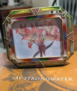 Jay Strongwater Provence Chelsea 3 x 2 frame nib last one - Picture 1 of 5