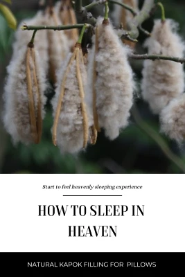 Kapok Fiber - 100% natural Organic - Pillow Fill- Ceylon product-Free Shipping - Image 1 of 4