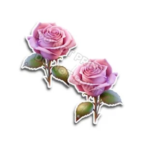 Rosa - Pegatinas de flores lindas calcomanías florales fucsia M36752 - Juego de 2 - Imagen 1 de 4