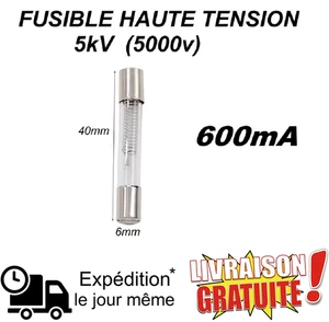 Fusible Haute Tension 5kV 600mA idéal pour Micro-ondes & Appareils Électriques - Imagen 1 de 5