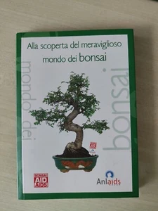 Alla scoperta Del Meraviglioso Mondo Dei Bonsai - Foto 1 di 6