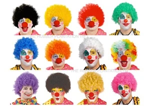 AFRO WIG FANCY DRESS CURLY WIGS FUNKY DISCO CLOWN MENS/LADIES COSTUME 70S HAIR - Picture 1 of 13