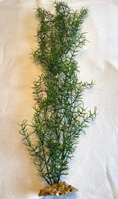 26 in. XL GRUESO Cubierta DITI-SPRENGERI Flor Plástico Suave Planta Inalámbrica, Piedra Foto 1 de 4