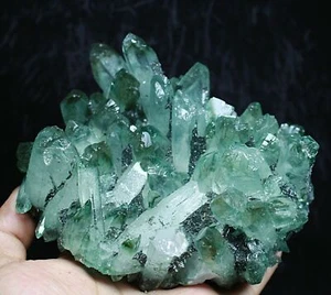 2.38lb RARE ! ! Natural Beatiful Green Quartz Crystal Cluster Mineral Specimen - Picture 1 of 10