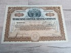 Vintage Tuolumne Copper Mining Company 1916 Arizona Stock Certificate