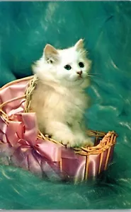 Kitten - A Pretty Princess - Greeting from Jenks OK - Vintage Postcard PP1 - Picture 1 of 2