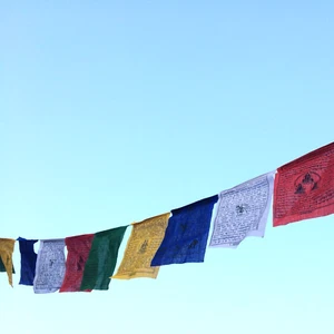 25 banderas en rollo único banderas de oración budista de algodón tibetano - TPF01A - Imagen 1 de 7