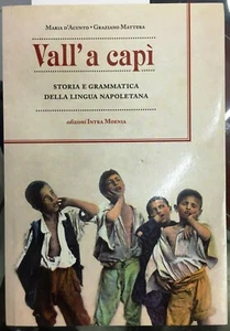 (Dialetti) M. D'Acunto, G. Mattera - VALL' A CAPÌ - Intra Moenia 2013 - Imagen 1 de 1