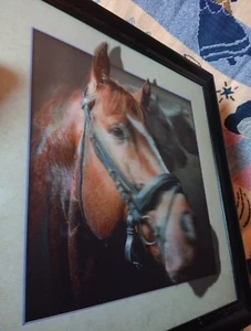 Horse 3D Wall Art Decor Framed Print  18.5x18.5 Lenticular Fun Lifelike Design  - Picture 1 of 10