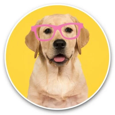 2 x Vinyl Stickers 20cm  - Funny Yellow Labrador Dog Puppy  #45115 - Image 1 of 4