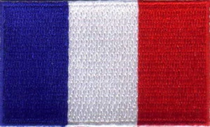 France Flag Embroidered Patches 2.5"x1.5"  iron-on - Picture 1 of 1