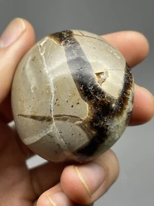 Septarian Nodule 2,8oz Palmenstein poliert Trauma Heilung Reiki emotional L6 - Bild 1 von 12