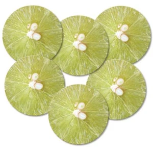 Sottobicchieri set 6 pezzi "Limone" con retro in sughero - Frutta - Lime - Foto 1 di 3