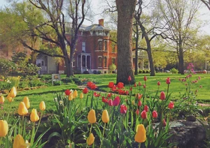 Tarjeta postal del presidente Benjamin Harrison Home Indianápolis IN Tulips 4"x6" 13888a - Imagen 1 de 8