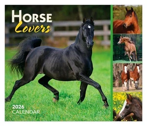 Horse Lovers | 2026 6x5" Daily Desktop Box Calendar | New Page Every Day - Picture 1 of 9