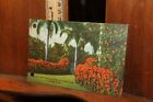 Vintage Postcard Florida Linen Orange Palm Trees Tropical