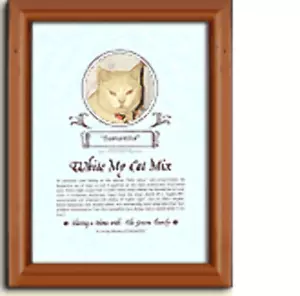 Personalised Cat Certificate Pet gift - Picture 1 of 1