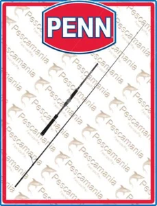 Canne PENN Conflict Elite Spinning Rod 9ft6/2.90m XF 6-32g 2Sec Spin - Foto 1 di 1