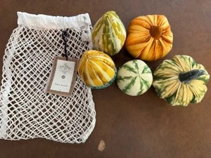 New Target John Derian 5pc Fabric Pillow Set Fall Assorted Gourds Harvest Autumn - Picture 1 of 6