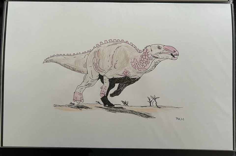 Edmontosaurus Original PALEOART By Mike Harn! 11x17 Bristol Colored Pencil! - Image 1 of 1