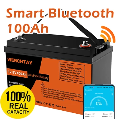 12V 100AH Lithium Iron Battery LiFePO4 Deep Cycle BMS Rechargeable Bluetooth RV - image 1 of 4