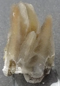 Chalzedon Pseudo nach Calcit Kristallen, Mexiko - Mineralienpräparat zu verkaufen - Bild 1 von 4